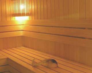 Сауна Сауна на Защитников Украины в Донецке